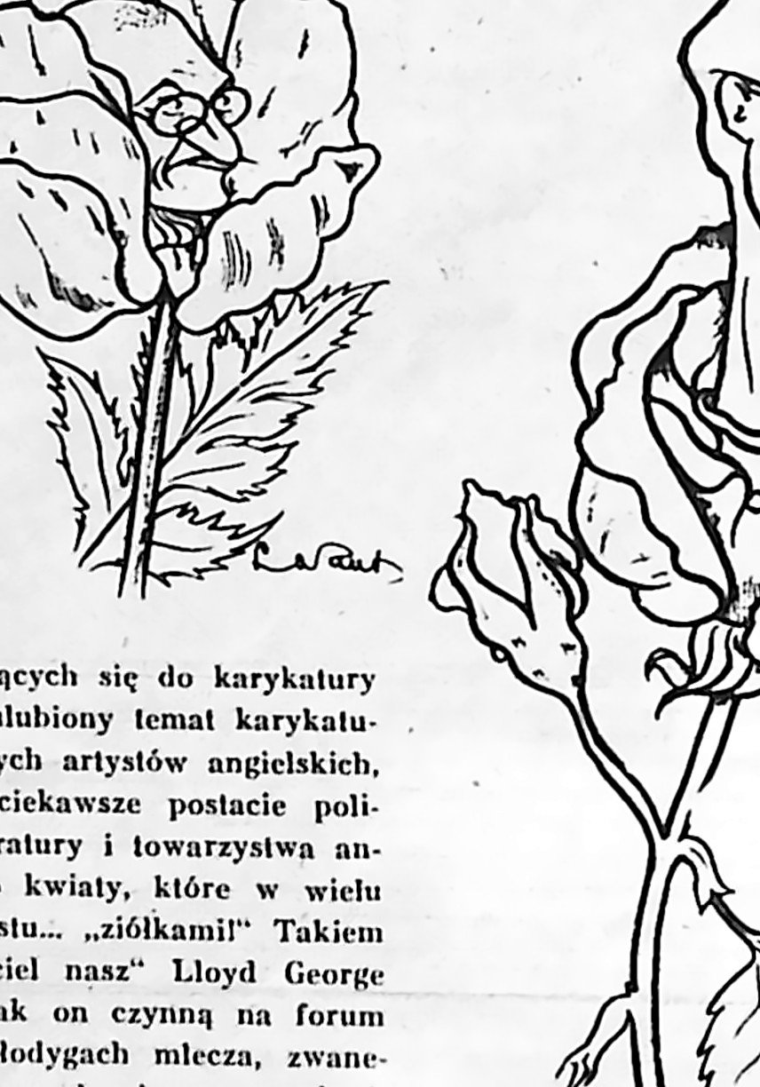 Karykatura Mahatmy Gandhiego w płatkach maku