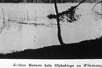 Brzeg leśnego jeziora z pochylonymi drzewami, zdjęcie krajobrazowe z 1935 roku.