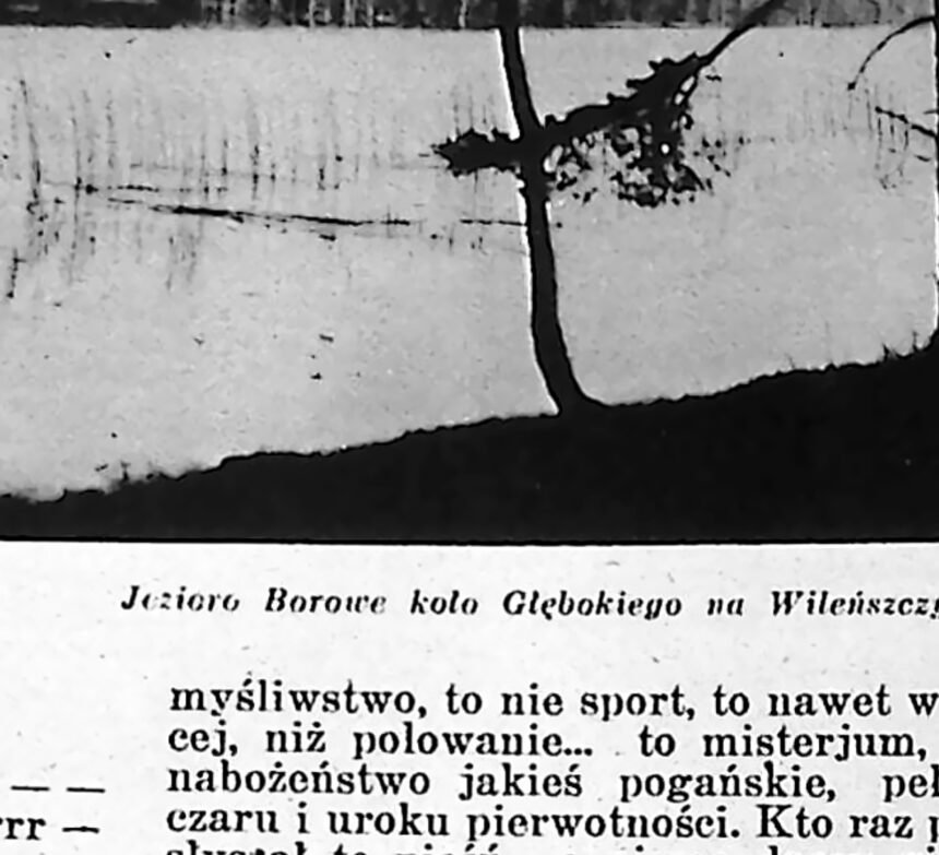Brzeg leśnego jeziora z pochylonymi drzewami, zdjęcie krajobrazowe z 1935 roku.