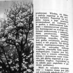 Górzysty brzeg jeziora Lugano z drzewami na pierwszym planie, zdjęcie z 1935 roku.
