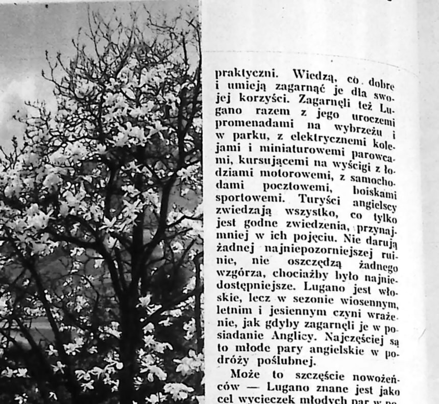 Górzysty brzeg jeziora Lugano z drzewami na pierwszym planie, zdjęcie z 1935 roku.