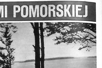 Spokojna tafla jeziora z zalesionym brzegiem i pomostem na pierwszym planie.