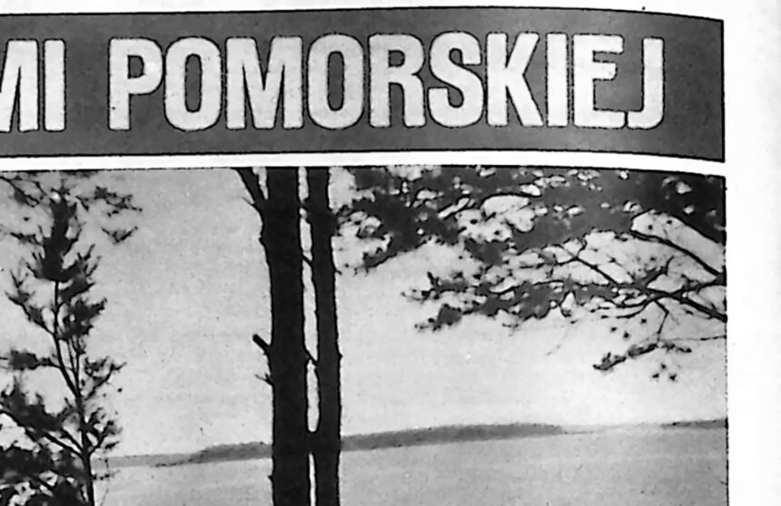 Spokojna tafla jeziora z zalesionym brzegiem i pomostem na pierwszym planie.
