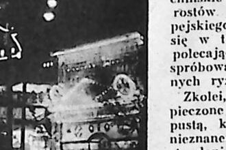 Nocna ulica chińskiego miasta z pionowymi szyldami i reklamami świetlnymi.