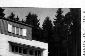 Modernistyczna biała willa z tarasem, stojąca wśród świerkowego lasu.
