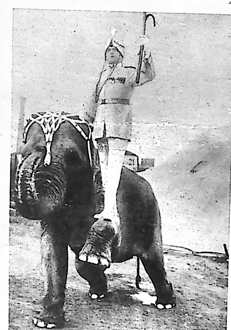 Dyrektor cyrku w egzotycznym stroju, siedzący na klęczącym słoniu w przystroju cyrkowym. Fotografia z 1926 r.