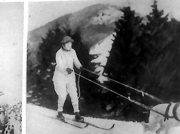 Narciarz ciągnięty po śniegu przez biegnącego psa w zaprzęgu, na tle zaśnieżonych świerków. Fotografia z 1926 r.
