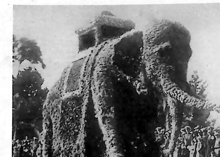 Wielka figura słonia ułożona z kwiatów na festynie kwiatowym w Kalifornii, wśród tłumu widzów. Fotografia z 1926 r.