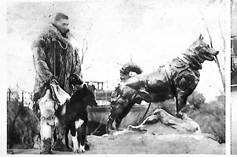 Pies zaprzęgowy Balto stojący obok swojego spiżowego pomnika, trzymany przez mężczyznę w futrzanej kurtce. Fotografia z 1926 r.