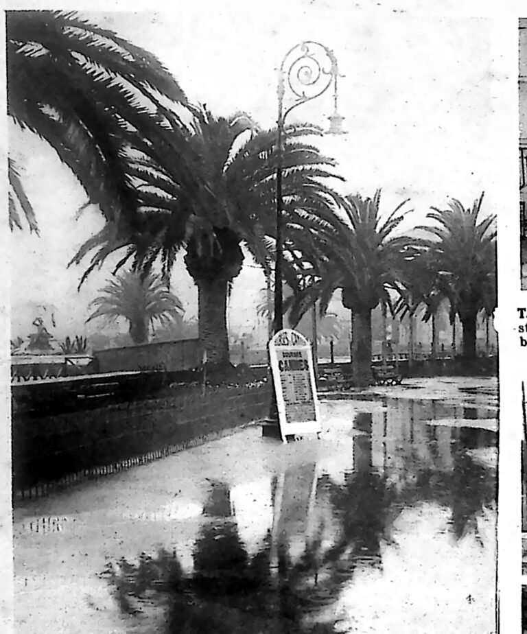 Zalana wodą aleja palmowa w Cannes; palmy odbijają się w tafli powodziowej. Fotografia z 1926 r.