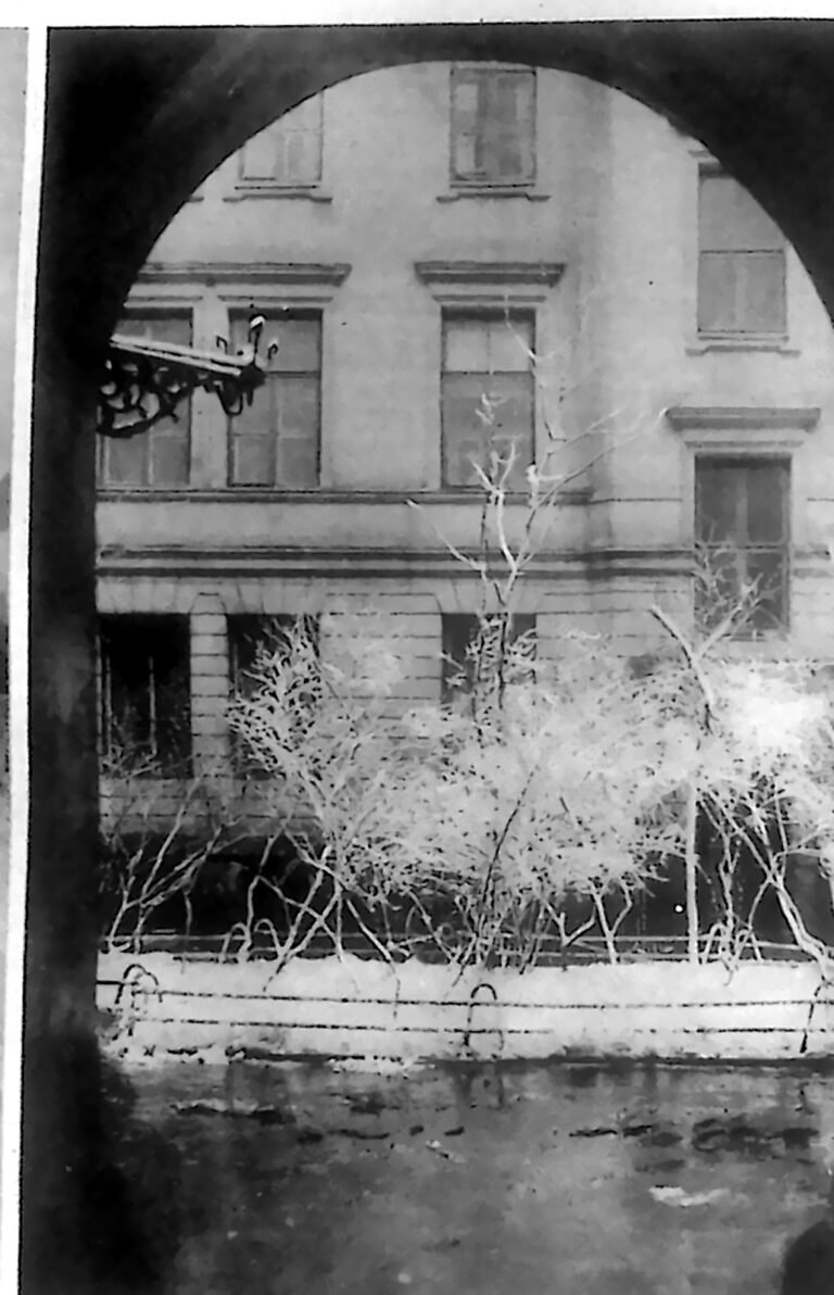 Ośnieżone podwórze warszawskiej kamienicy widziane przez sklepioną bramę, z oszronionymi krzewami. Fotografia z 1926 r.