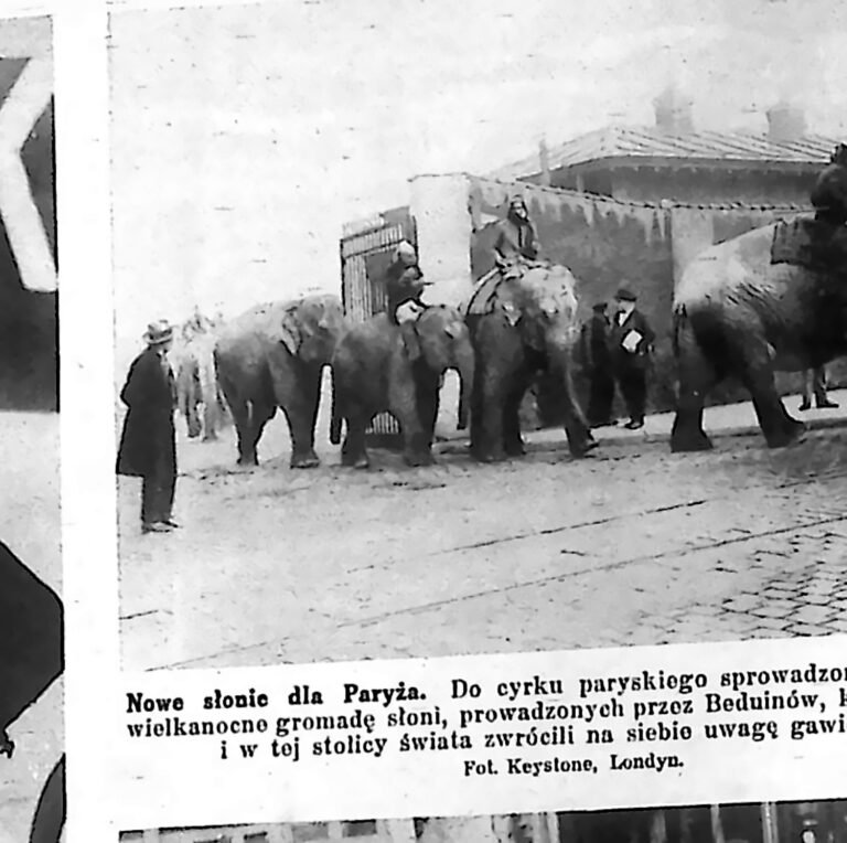 Rząd słoni prowadzonych ulicą Paryża przez opiekunów w strojach beduińskich. Fotografia z 1926 r.