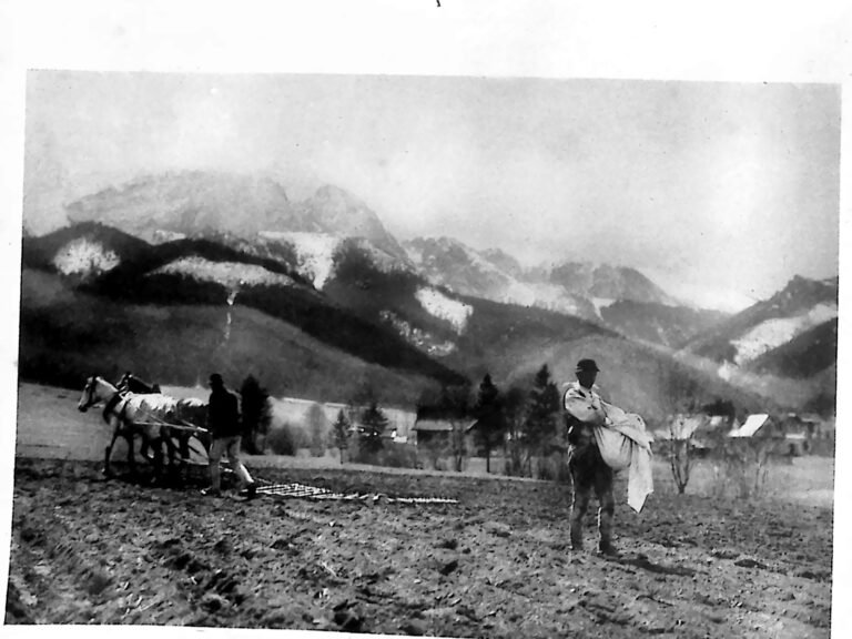 Góral siejący ziarno na świeżo zbronowanym polu, w tle konny zaprzęg i tatrzańskie zbocza. Fotografia z 1926 r.
