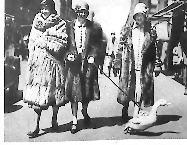 Trzy elegancko ubrane kobiety w futrach na ulicy Nowego Jorku; jedna prowadzi na smyczy gęś. Fotografia z 1926 r.